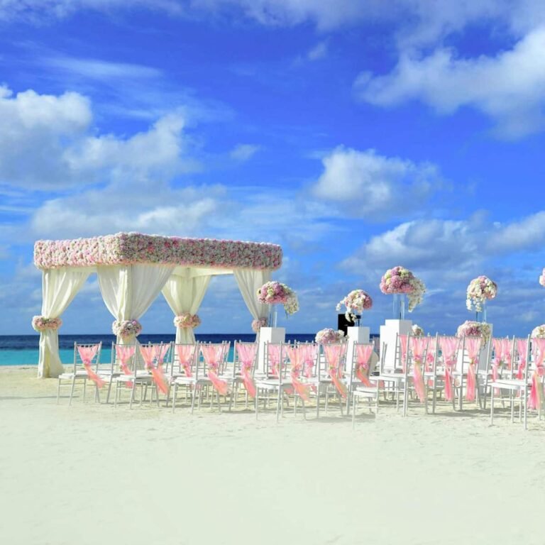 Indian Wedding Guide: Rituals, Customs, and more.